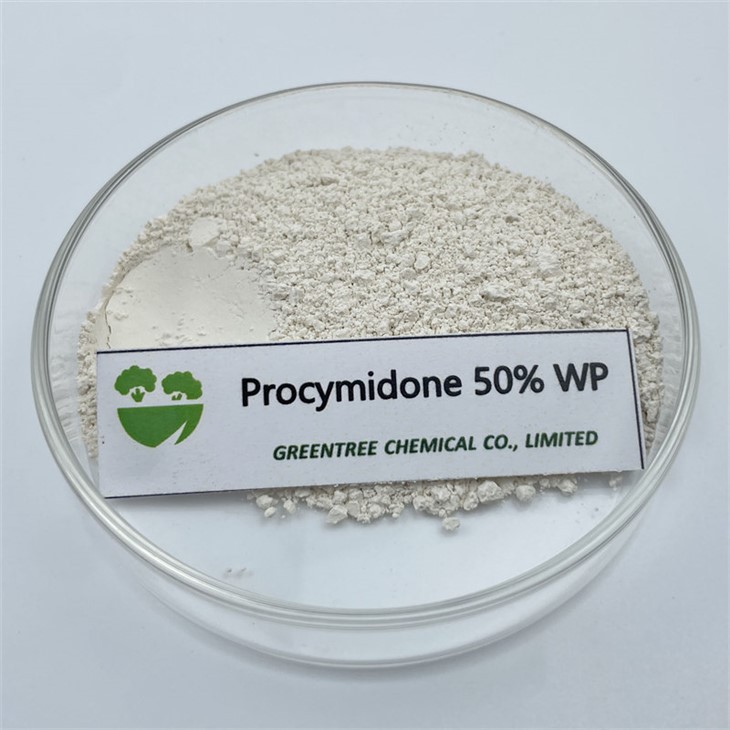 CAS NR. 32809-16-8 Procymidone 50% Wp C13H11Cl2NO2 fyrir sveppaeitur