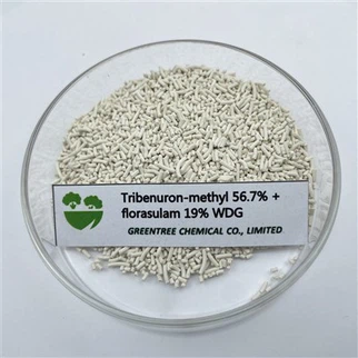 Tribenuron-methyl 56,7% +florasulam 19% WDG