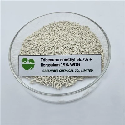 Illgresiseyðir illgresiseyðir Tribenuron Metýl 567 G/Kg + Florasulam 190 G/Kg Wdg