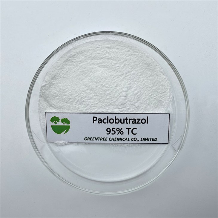 CAS NR. 76738-62-0 Mangó áburður Paclobutrazol 95 prósent Tc plöntuvaxtarstillir