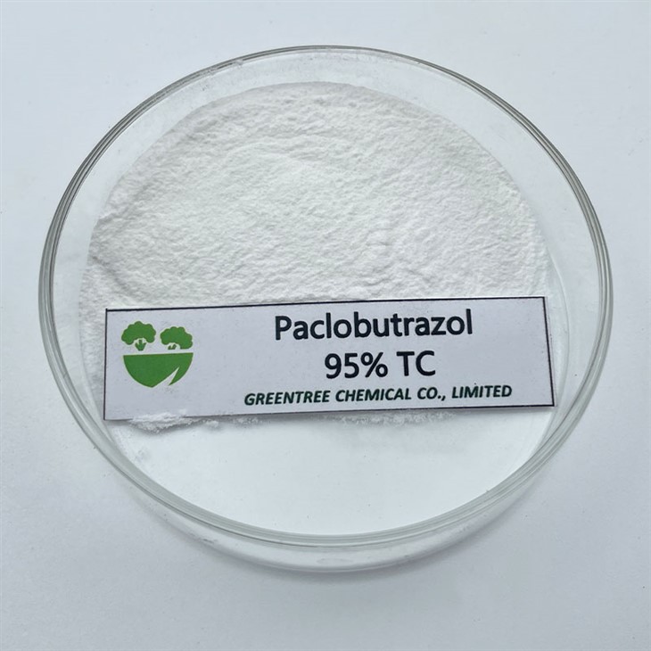 Paclobutrazol 95% Tc Powder heftir vöxt stilkblaðsins